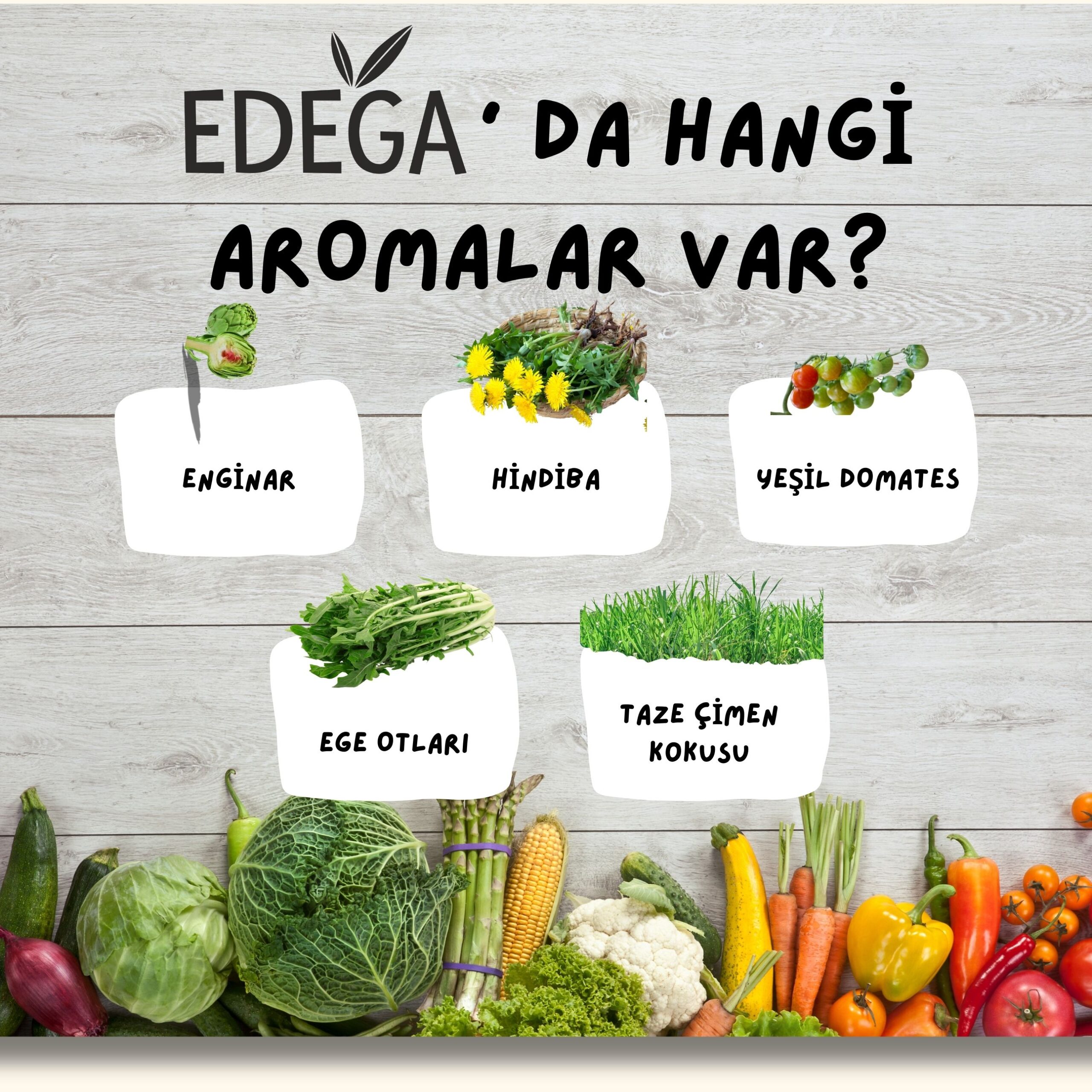 YENİ Natürel Birinci Zeytinyağı 10 Litre Teneke Ambalaj – Filtresiz