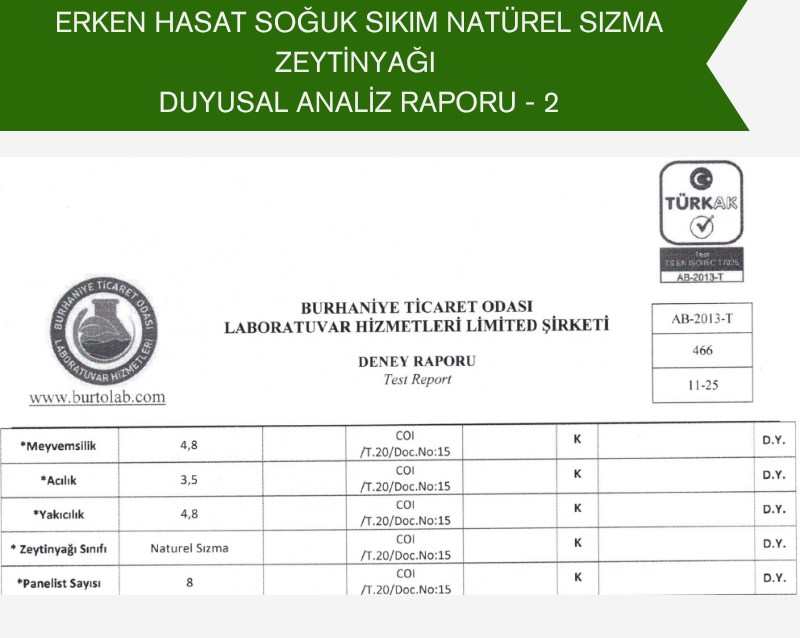 Erken Hasat Natürel Sızma Zeytinyağı 5 Litre Teneke Ambalaj (Filtreli)